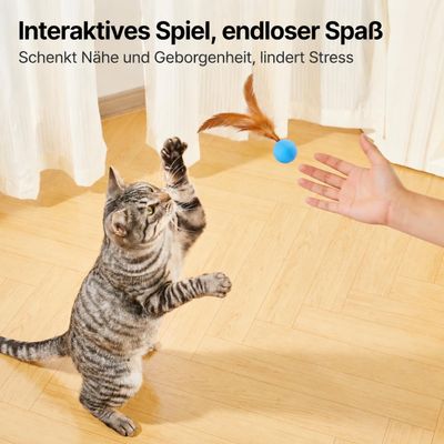 Yiankon Katzenangel Saugnapf Set, 2 Angeln, 5 Feder und Ballanhänger