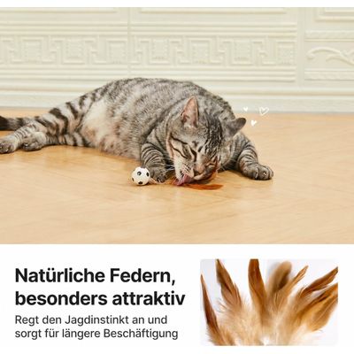 Yiankon Katzenangel Saugnapf Set, 2 Angeln, 5 Feder und Ballanhänger