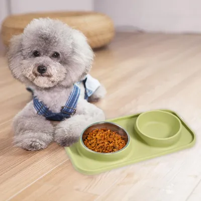 Yiankon Katze Hund Futternapf Edelstahl Haustiere Auslaufsicher Rutschfest