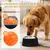 Yiankon chien distributeur lent bol pour liquides friandises Yiankon chien distributeur lent bol pour liquides friandises