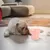 Yiankon animaux surélevé bol alimentaire céramique 250ml rose Yiankon animaux surélevé bol alimentaire céramique 250ml rose