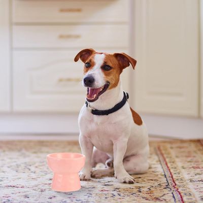 Yiankon animaux surélevé bol alimentaire céramique 250ml rose