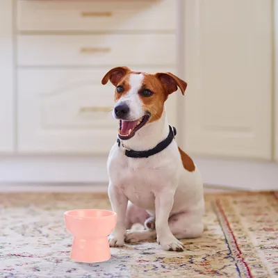 Yiankon animaux surélevé bol alimentaire céramique 250ml rose Yiankon animaux surélevé bol alimentaire céramique 250ml rose