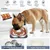 Yiankon chiens bol anti-glouton avec antidérapant silicone tapis à lécher Yiankon chiens bol anti-glouton avec antidérapant silicone tapis à lécher