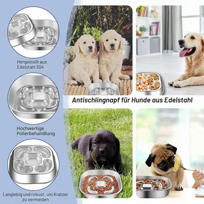 Yiankon chiens bol anti-glouton avec antidérapant silicone tapis à lécher Yiankon chiens bol anti-glouton avec antidérapant silicone tapis à lécher