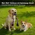 Yiankon Hundespielzeug Baumwollseil 8er Set Bunt Yiankon Hundespielzeug Baumwollseil 8er Set Bunt