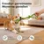 Yiankon Hundespielzeug Baumwollseil 8er Set Bunt Yiankon Hundespielzeug Baumwollseil 8er Set Bunt