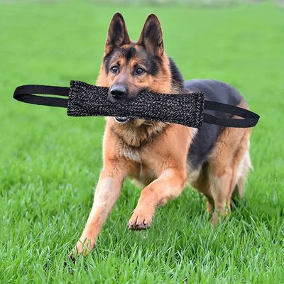 Fukumaru Nylon-Kaustab Hund mit Doppelgriff für Training