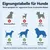Yiankon Hundespielzeug 2er Set Regenbogen-Seilspielzeuge