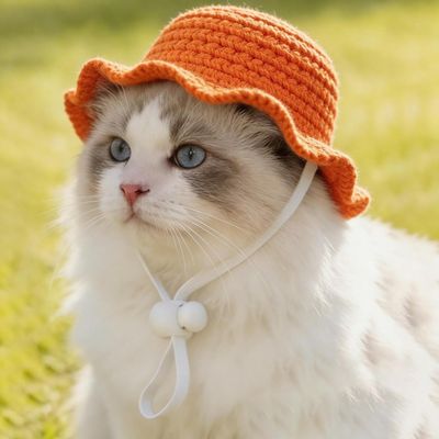 Fukumaru Strohhut für Katzen und Hunde, breite Krempe