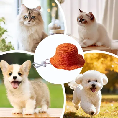 Fukumaru Chapeau de paille pour chat et chien, large bord