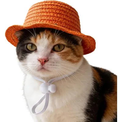 Fukumaru Chapeau de paille pour chat et chien, large bord