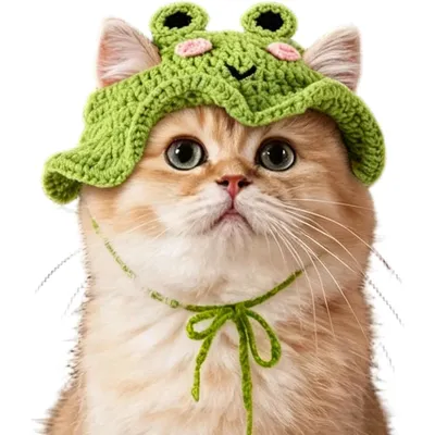 Fukumaru Chapeau crochet pour chat, motif grenouille, réglable