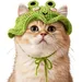 Fukumaru Häkelmütze für Katzen, Frosch-Design, verstellbar