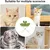 Fukumaru Häkelmütze für Katzen, Frosch-Design, verstellbar