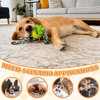 Fukumaru Balle interactive chien avec friandises TPR durable Fukumaru Balle interactive chien avec friandises TPR durable