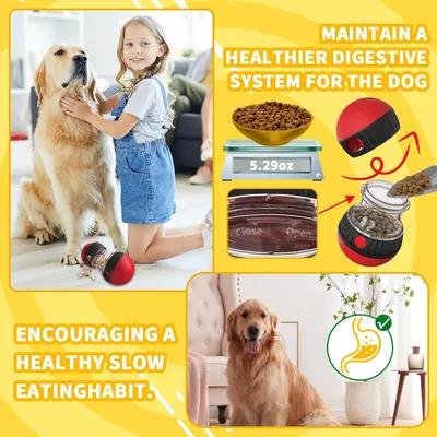 Fukumaru Balle de fouille chien avec friandises interactive Fukumaru Balle de fouille chien avec friandises interactive