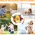 Fukumaru Jouet chien intelligent puzzle avec bruisseur interactif