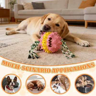 Fukumaru Balle interactive chien avec friandises TPR durable