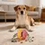 Fukumaru Balle interactive chien avec friandises TPR durable