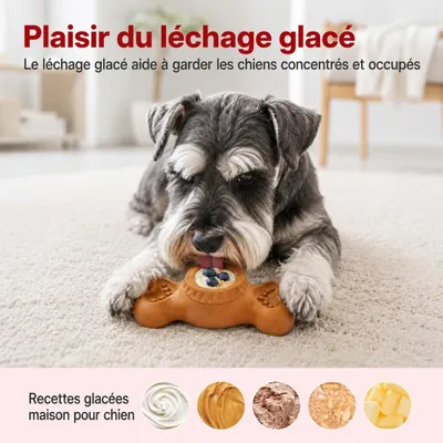 Yiankon Jouet Grand Chien Os à Mâcher Moule Congélation Porte-Friandises