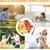 Fukumaru Jouet chien intelligent puzzle avec bruisseur interactif Fukumaru Jouet chien intelligent puzzle avec bruisseur interactif