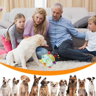 Fukumaru Jouet chien intelligent puzzle avec bruisseur interactif
