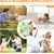 Fukumaru Jouet chien intelligent puzzle avec bruisseur interactif Fukumaru Jouet chien intelligent puzzle avec bruisseur interactif