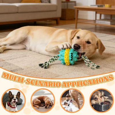 Fukumaru Balle interactive chien avec friandises TPR durable