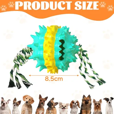 Fukumaru Balle interactive chien avec friandises TPR durable
