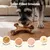 Yiankon Kauspielzeug Hund, 3er Set Nylon-Knochen mit Bacongeschmack