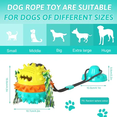 Fukumaru Jouet chien distributeur de friandises et nettoyage dents Fukumaru Jouet chien distributeur de friandises et nettoyage dents