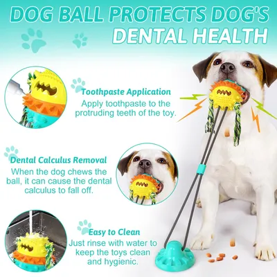 Fukumaru Jouet chien distributeur de friandises et nettoyage dents Fukumaru Jouet chien distributeur de friandises et nettoyage dents