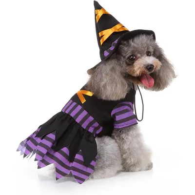 Fukumaru Halloween-Kostüm für Hunde mit verstellbarem Hut Fukumaru Halloween-Kostüm für Hunde mit verstellbarem Hut