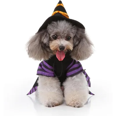Fukumaru Halloween-Kostüm für Hunde mit verstellbarem Hut Fukumaru Halloween-Kostüm für Hunde mit verstellbarem Hut