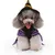Fukumaru Halloween-Kostüm für Hunde mit verstellbarem Hut Fukumaru Halloween-Kostüm für Hunde mit verstellbarem Hut