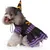 Fukumaru Halloween-Kostüm für Hunde mit verstellbarem Hut Fukumaru Halloween-Kostüm für Hunde mit verstellbarem Hut