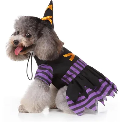Fukumaru Halloween-Kostüm für Hunde mit verstellbarem Hut Fukumaru Halloween-Kostüm für Hunde mit verstellbarem Hut