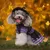 Fukumaru Halloween-Kostüm für Hunde mit verstellbarem Hut Fukumaru Halloween-Kostüm für Hunde mit verstellbarem Hut