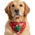 Fukumaru Weihnachts-Bandana für Katzen und Hunde, Tannenbaum Fukumaru Weihnachts-Bandana für Katzen und Hunde, Tannenbaum