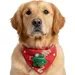 Fukumaru Weihnachts-Bandana für Katzen und Hunde, Tannenbaum