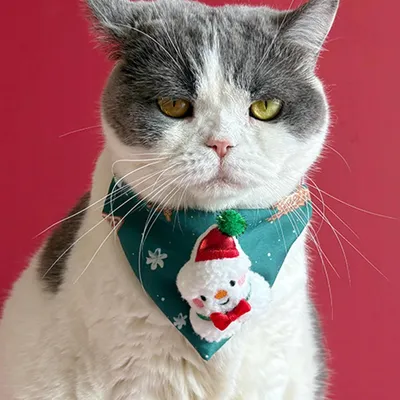 Fukumaru Bandana de Noël pour chat et chien, bonhomme de neige