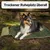 ROMNEYS Outdoor Travelbed Voyager ROMNEYS Outdoor Travelbed Voyager