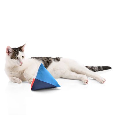 Canadian Cat Company Schmusekissen 6er-Set Katzenminze Pyramide XL