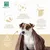 Menforsan - Shampoing à l'avoine pour chien à peau sensible, 5 l Menforsan - Shampoing à l'avoine pour chien à peau sensible, 5 l
