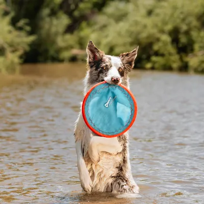 Chuckit! CHUCKIT Paraflight — Jouet pour Chien L