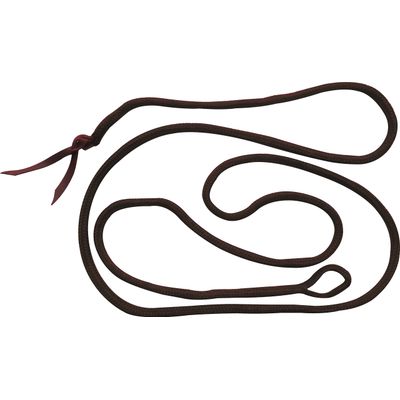 EKKIA GÉNÉRIQUE — Longe éthologique brune 3,7 m
