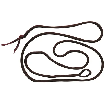 EKKIA GÉNÉRIQUE — Longe éthologique brune 3,7 m EKKIA GÉNÉRIQUE — Longe éthologique brune 3,7 m
