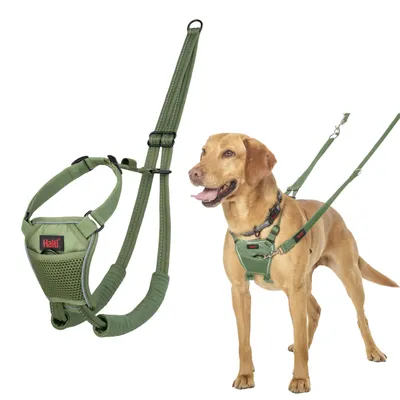 Halti Harnais Anti-Traction pour Chien Halti Halti Harnais Anti-Traction pour Chien Halti