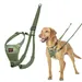 Halti Harnais Anti-Traction pour Chien Halti